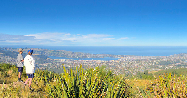 Two students standing on top of a hill surrounded by green flax and tussock, looking over Dunedin city and the Pacific Ocean